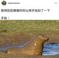 https://images.plurk.com/3iv6TYRlwhR4XMwXNund8t.jpg