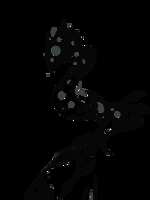 https://images.plurk.com/3izkJbxX3ccgUcJlukVmty.png