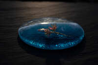https://images.plurk.com/3jGnh2zIX95rf2HMwNZ6Id.jpg