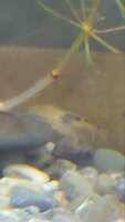 https://images.plurk.com/3jIuxDbY2GI9e9YWlqic20.jpg