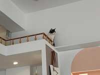 https://images.plurk.com/3jSXAWKkMldA7ZMt0SA5Yj.jpg