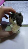 https://images.plurk.com/3jTISaPqtRaxuesV7BK1MJ.jpg