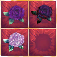 https://images.plurk.com/3jW3kpZ83uWyISf3aqfEsc.jpg