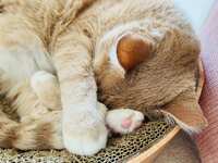 https://images.plurk.com/3jacsvkw7F1vUaSYhpEd3X.jpg