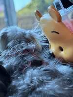 https://images.plurk.com/3jmkRakJXsOl4CTwYtSsBY.jpg