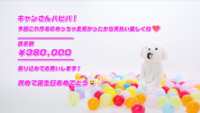 https://images.plurk.com/3jpNQ4N1OMVc0DGBxvfXUK.png