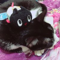 https://images.plurk.com/3k3BLq13ftjcmuR4FaRqV4.jpg