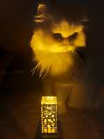 https://images.plurk.com/3k5Frd5VDmDTQAqqUwXA8R.jpg
