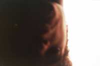 https://images.plurk.com/3kACEFSS0cEK9Po9n6JrVz.jpg