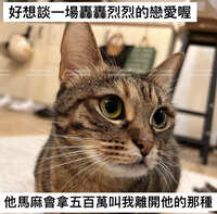 https://images.plurk.com/3kLejPDc2YEbsk7aPXqsP8.jpg
