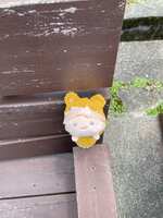 https://images.plurk.com/3kddxidZLCa9qcU5F7uuit.jpg