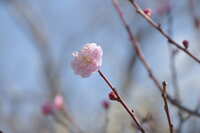 https://images.plurk.com/3keEwnzQ1O9wuzG0C8Ooq6.jpg