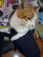 https://images.plurk.com/3ko3RPSFPTSKHxb2rR96.jpg