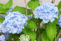 https://images.plurk.com/3koNZEMBK5Zk46UOQlXBnm.jpg