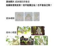 https://images.plurk.com/3kpzkXdGDsoE230xRdR3JY.png