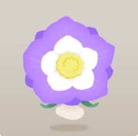 https://images.plurk.com/3kr4PCaWtibTJwnnop4kFi.jpg