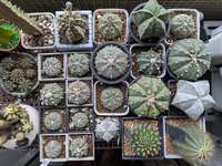 https://images.plurk.com/3ktSKxhFSDpULLozt5SQDn.jpg