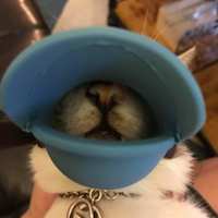 https://images.plurk.com/3ku4Q9U3x7wf7bxcpvnJ3L.jpg