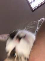 https://images.plurk.com/3kxkPcI2ZZFc8HJWPZ1iqR.jpg