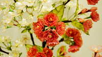 https://images.plurk.com/3l3vdFRmiwPQ84319AL1b4.jpg