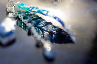 https://images.plurk.com/3lAelpyvzd4dSWDpdzphaO.jpg