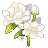 https://images.plurk.com/3lEGO1HkuAHy3jzI4hWIGI.gif