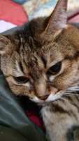 https://images.plurk.com/3lGT5sHWP4omaYDdm7H8is.jpg
