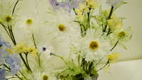 https://images.plurk.com/3lJc4fLEsJnABNeeNtcVAC.jpg