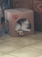 https://images.plurk.com/3lLTZcyWA7sCbkqrEDT6t8.jpg