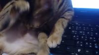 https://images.plurk.com/3lMOt5Qzylkz7D9GtDfJc9.jpg