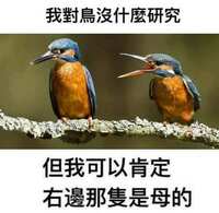 https://images.plurk.com/3lNVv8xBruLntNYLfemDlb.jpg