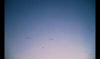 https://images.plurk.com/3lTjCPuaDrwzRo3vThY9ZL.png