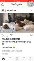 https://images.plurk.com/3lb17qg1qQTnmDutkhvF.gif