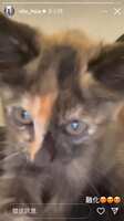 https://images.plurk.com/3ldqRJZNiJFagpI9Fozza0.png