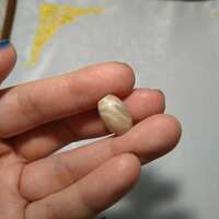 https://images.plurk.com/3lgCC6CtgmwWqeUc9oG4bn.jpg