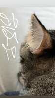 https://images.plurk.com/3lnnOBx6aS82qmf92wyzed.png
