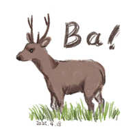 https://images.plurk.com/3lqA5LB9dinDmWxyGuq8ES.jpg