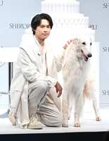 https://images.plurk.com/3lrQvBJTT2ShvoGVs3ohun.png