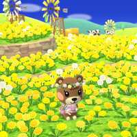 https://images.plurk.com/3ltdykQn7EnNnglWW3vR8B.jpg