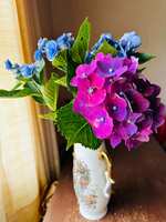 https://images.plurk.com/3lwqquvNGty7oQNMGqulIB.jpg