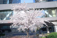 https://images.plurk.com/3m5g0jj4I1N3FFyBugnmET.jpg