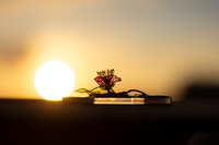 https://images.plurk.com/3m6JQv8rjDfIf0lCRRFfA9.jpg