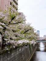 https://images.plurk.com/3mD9yno03Nrs0uVIwqnPBk.jpg
