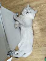 https://images.plurk.com/3mEF8gmXePm6HvzLaCsPAO.jpg