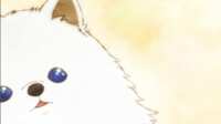 https://images.plurk.com/3mF35ZDFBtzqj6ytGWrTsF.png