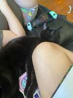 https://images.plurk.com/3mIArSTHhqwLwFPgSl0nQg.jpg