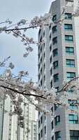 https://images.plurk.com/3mIYGka8KN5u7U4qcd6BK9.jpg