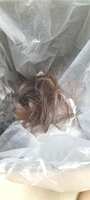 https://images.plurk.com/3mV7KwXztfG9lYU6NmU3Tk.jpg