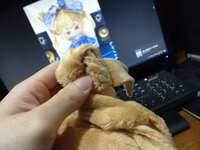 https://images.plurk.com/3mWjbrUZ9bOtqHiDNkKOet.jpg