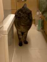 https://images.plurk.com/3meHOfbHyx4KETdKzxHYW5.jpg